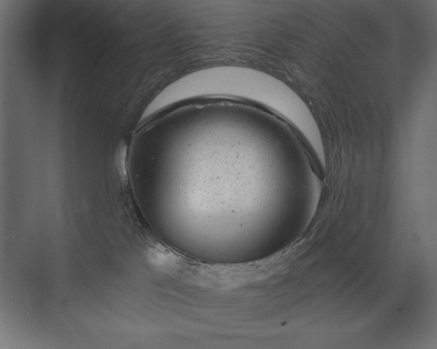 X0000074040041200609061219