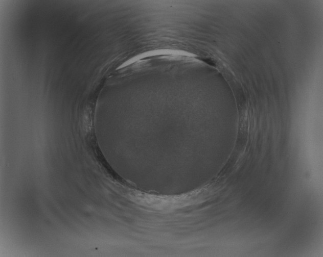 X0000074040043200609061219