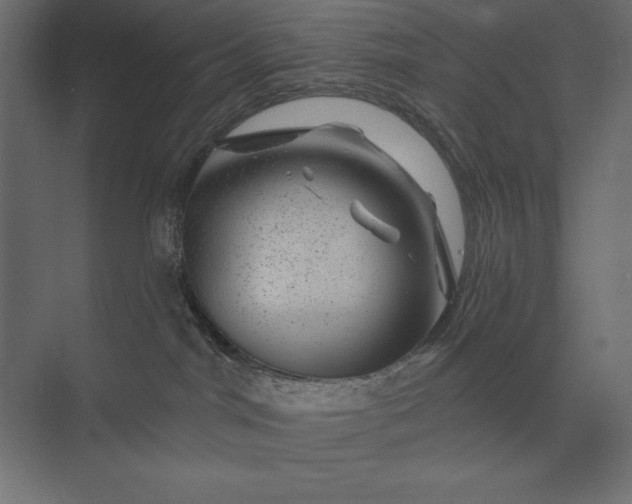 X0000074040044200609061219