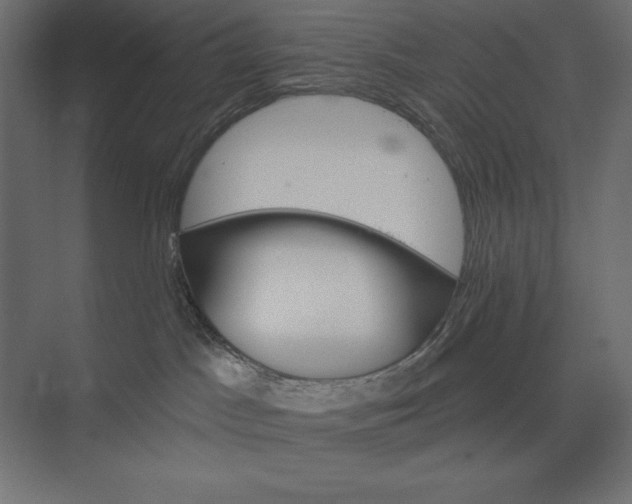 X0000074040045200609061219