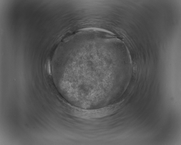 X0000074040046200609061219