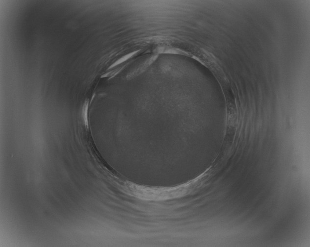 X0000074040047200609061219