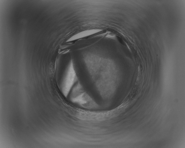 X0000074040048200609061219