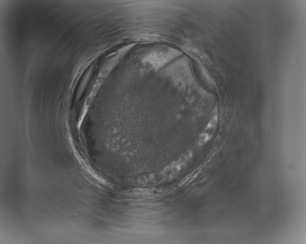 X0000074040049200609061218