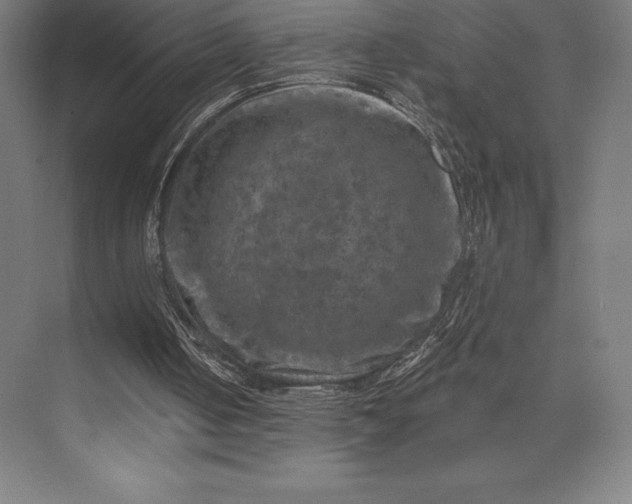 X0000074040050200609061218