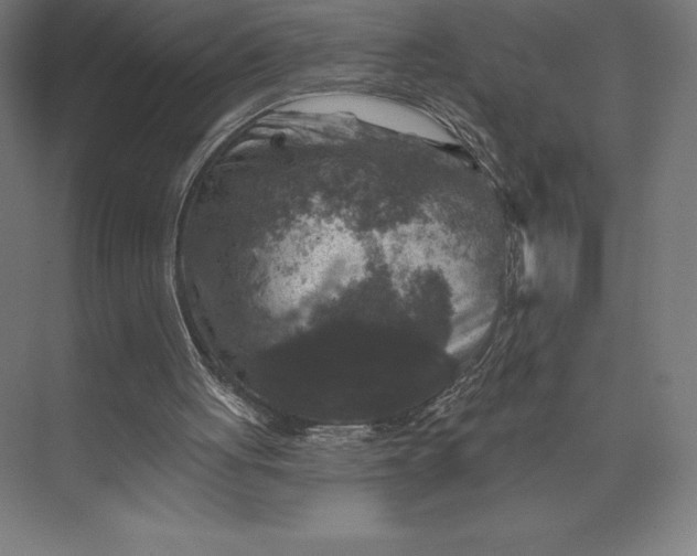 X0000074040051200609061218