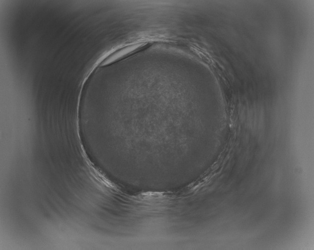 X0000074040052200609061218