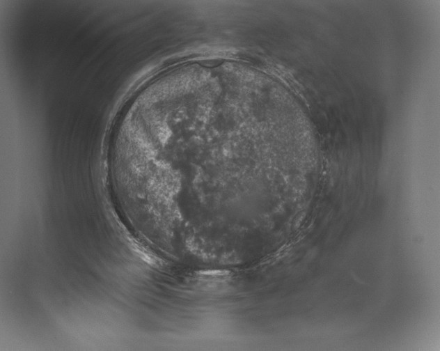 X0000074040053200609061218