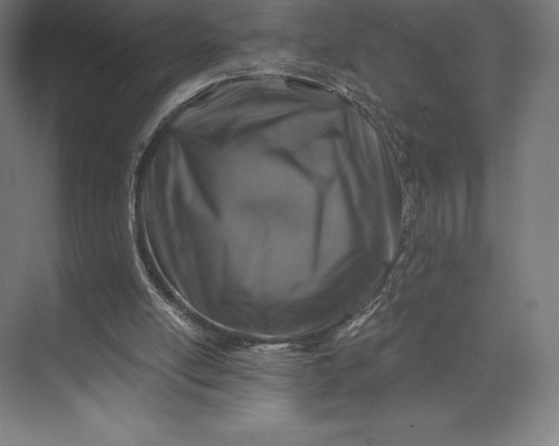 X0000074040054200609061218