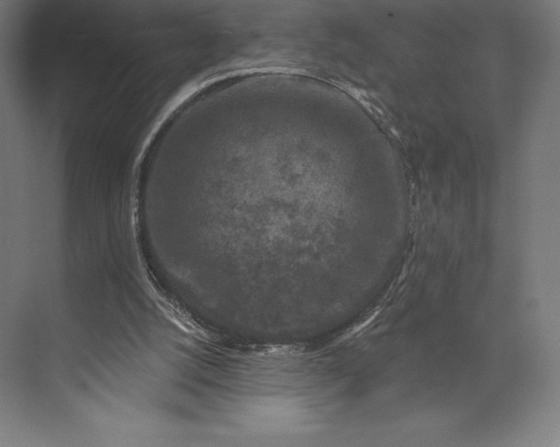 X0000074040056200609061218