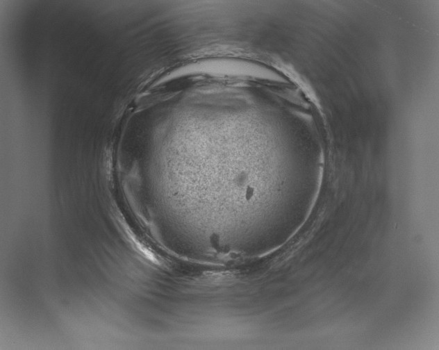 X0000074040057200609061218