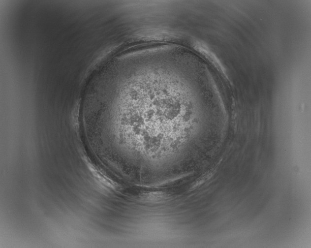 X0000074040058200609061218