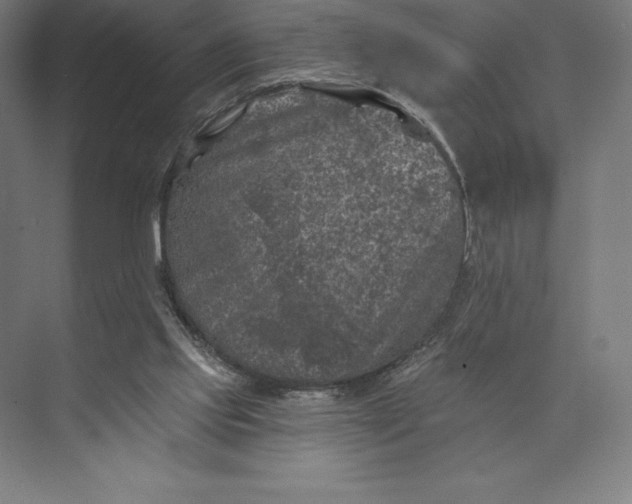 X0000074040061200609061218