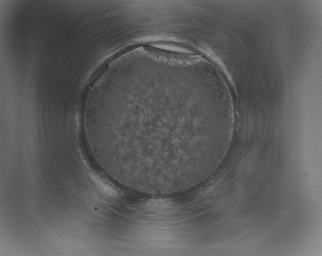 X0000074040063200609061218