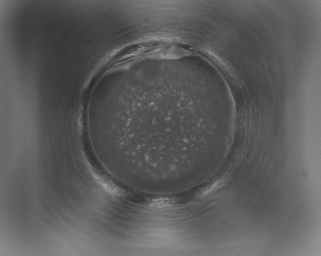 X0000074040064200609061218