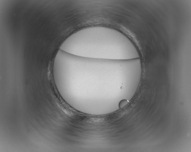 X0000074040065200609061218