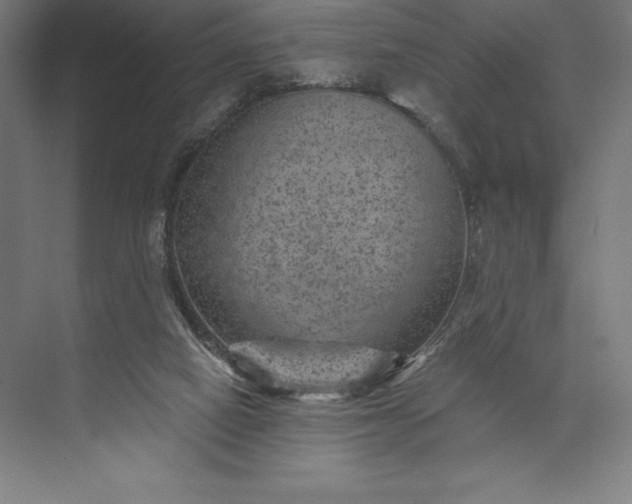 X0000074040066200609061218