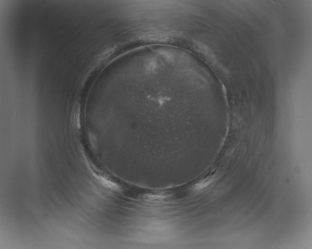 X0000074040068200609061218