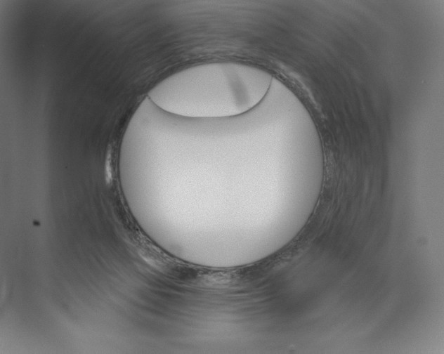 X0000074040069200609061218