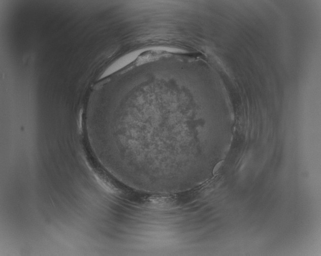 X0000074040070200609061218