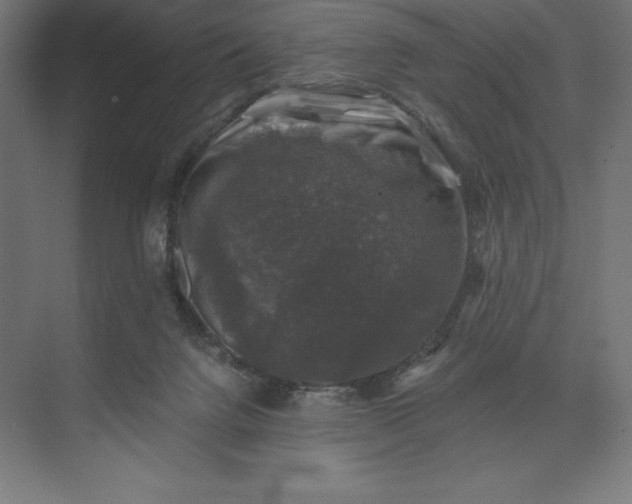 X0000074040072200609061218