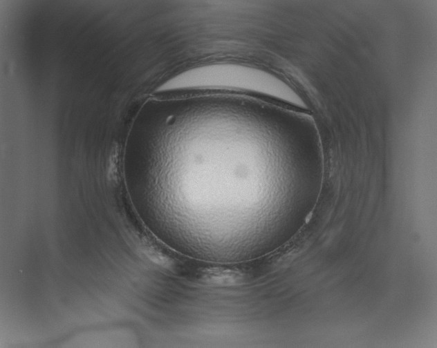 X0000074040073200609061218