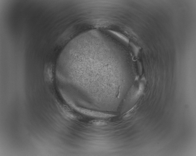 X0000074040074200609061218