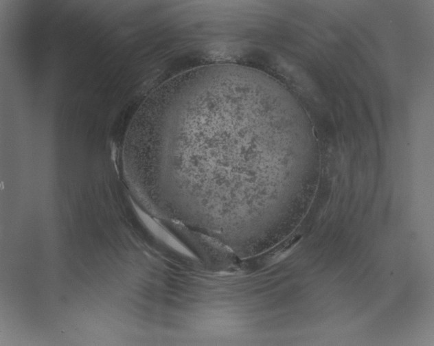 X0000074040075200609061218