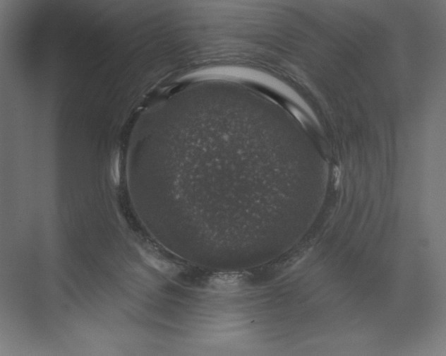 X0000074040076200609061218