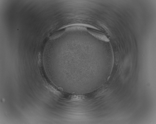 X0000074040077200609061218