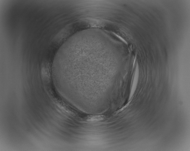 X0000074040078200609061218