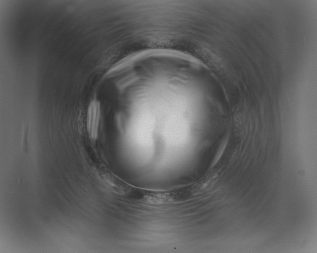 X0000074040079200609061218