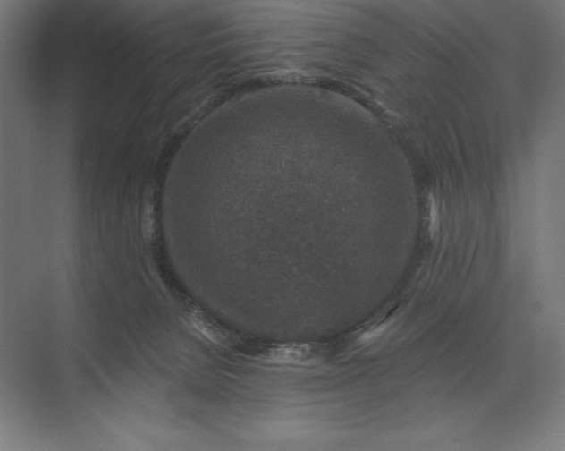 X0000074040080200609061218