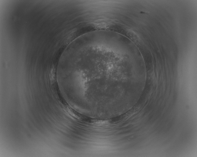 X0000074040081200609061219