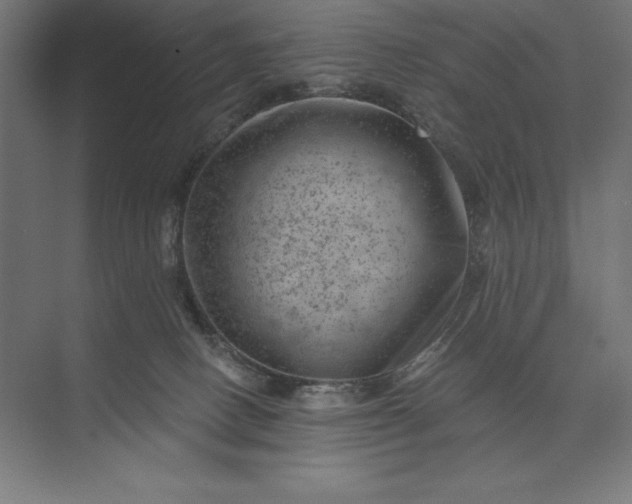 X0000074040082200609061219