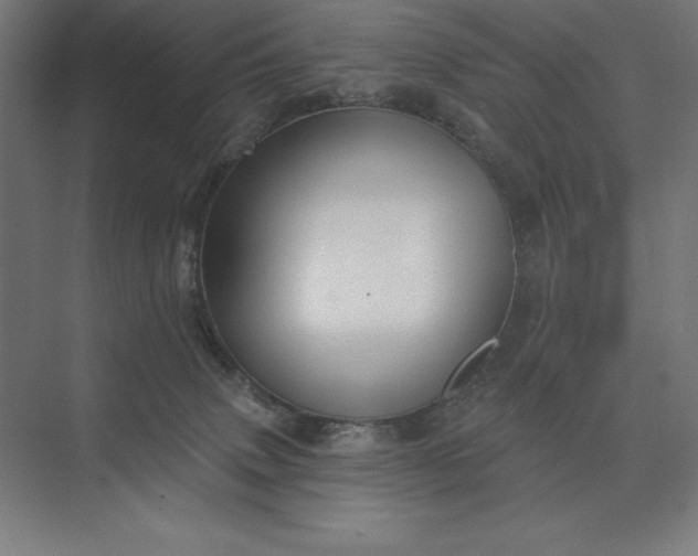 X0000074040083200609061219