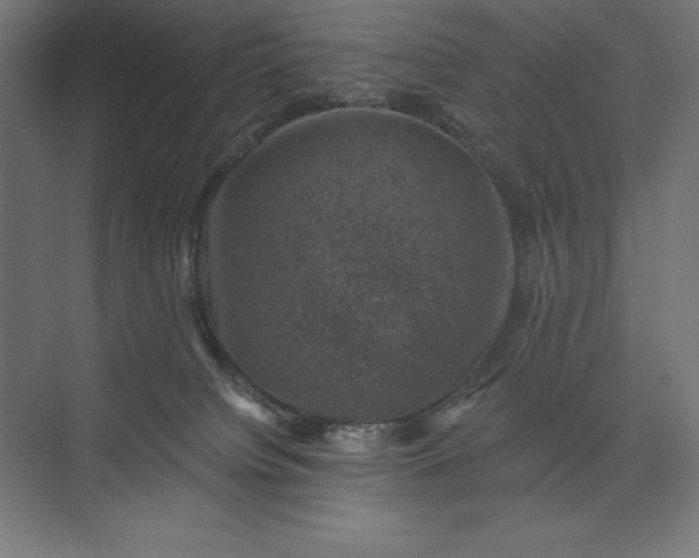 X0000074040084200609061219