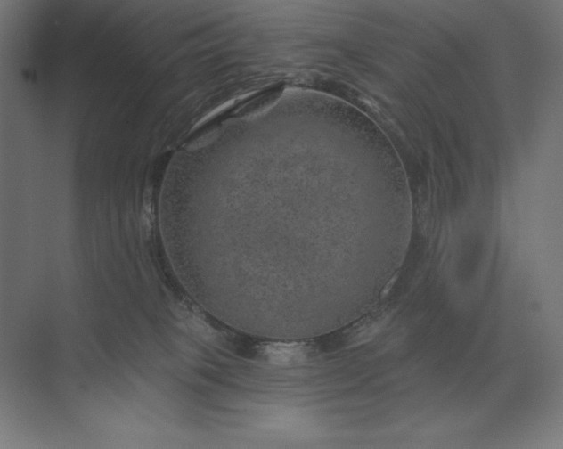 X0000074040085200609061219