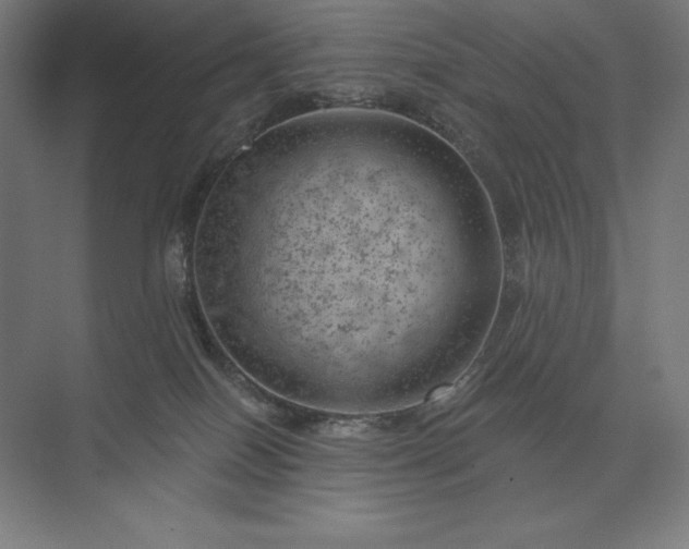 X0000074040086200609061219