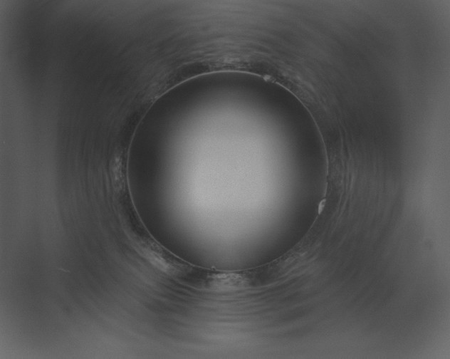 X0000074040087200609061219