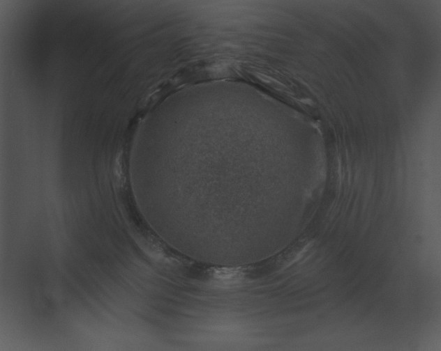 X0000074040088200609061219