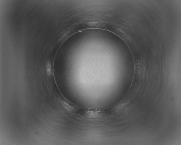 X0000074040089200609061219