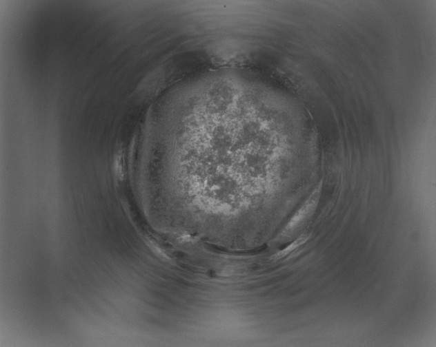 X0000074040090200609061219