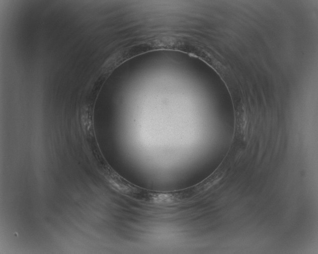 X0000074040091200609061219