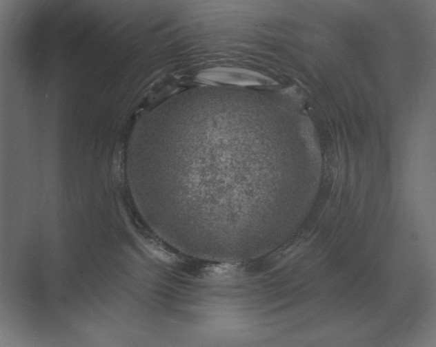 X0000074040092200609061219