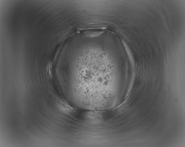 X0000074040094200609061219