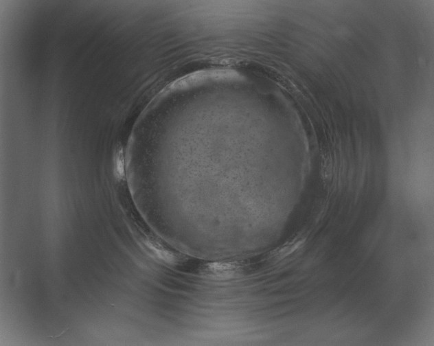 X0000074040095200609061219