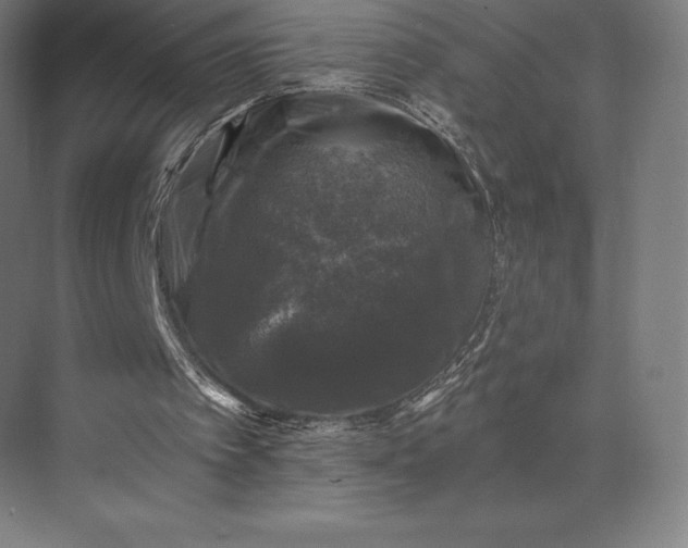 X0000074040097200609061218