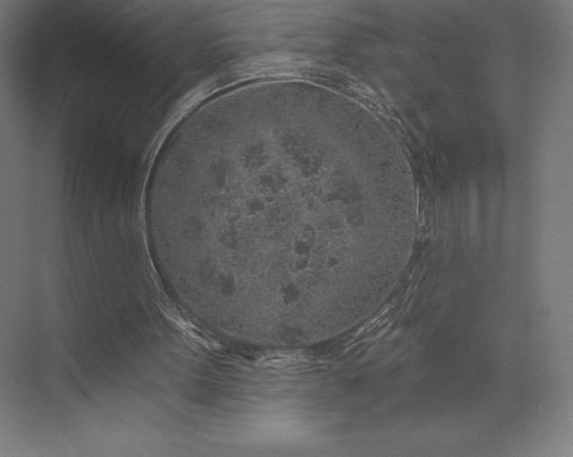 X0000074040099200609061218