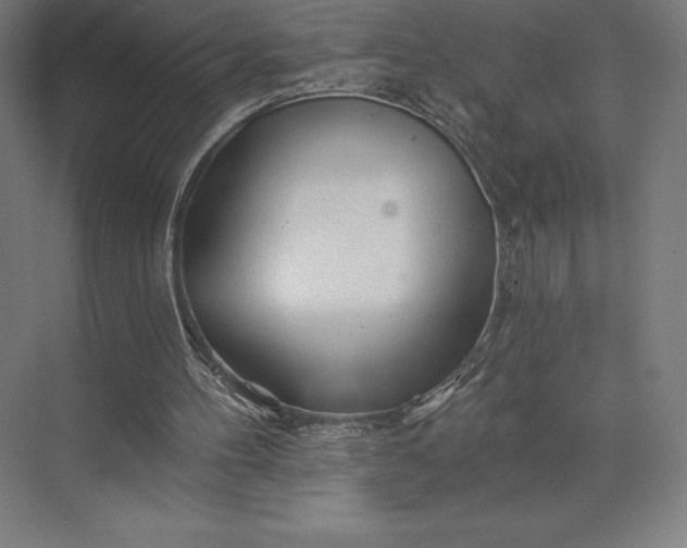 X0000074040100200609061218